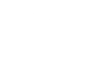 SolyPure Cosmetics
